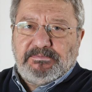 تصویر هنرمند Mehmet Birkiye