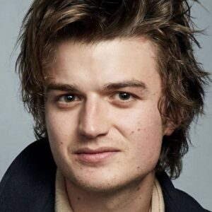 تصویر هنرمند Joe Keery