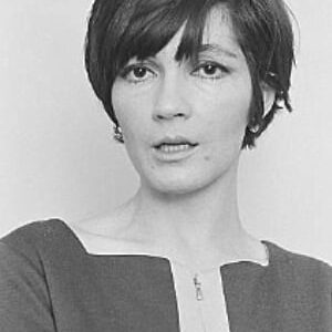 تصویر هنرمند Rebecca Darke