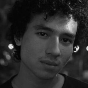 تصویر هنرمند Giulio Parengkuan