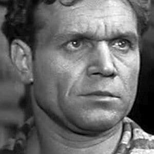 تصویر هنرمند Vladimir Marenkov