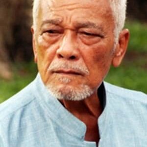 تصویر هنرمند Choomporn Theppitak