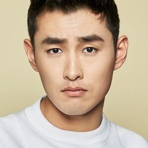 تصویر هنرمند Wang Yanlin