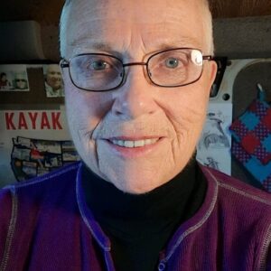 تصویر هنرمند Swankie