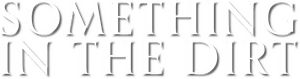 لوگوی رسمی فیلم Something in the Dirt (2022)