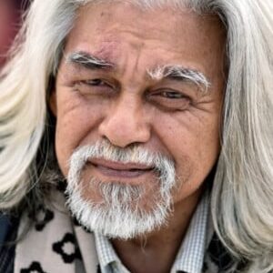 تصویر هنرمند Wan Hanafi Su