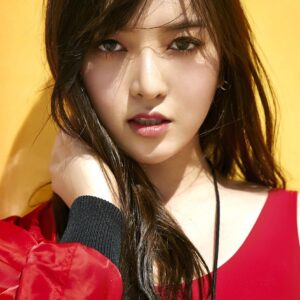 تصویر هنرمند Im Do Hwa