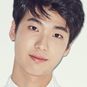 تصویر هنرمند Hong Jin-gi