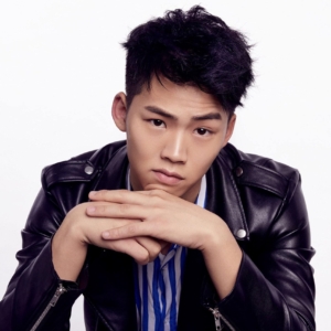 تصویر هنرمند Chen Yongsheng