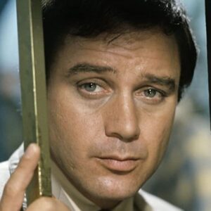 تصویر هنرمند Michael Callan