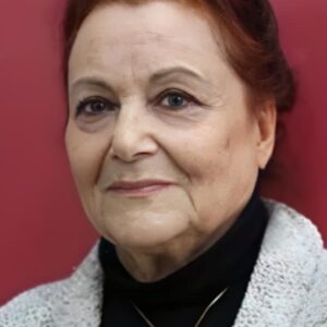 تصویر هنرمند Diler Saraç