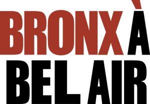 لوگوی رسمی فیلم Bringing Down the House (2003)