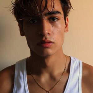 تصویر هنرمند Marco Gallo