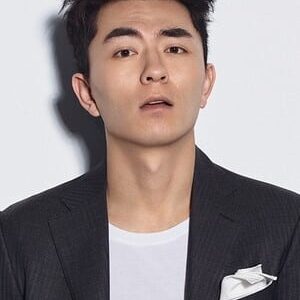 تصویر هنرمند Zhang Ningjiang