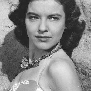 تصویر هنرمند Sue England