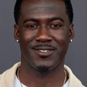 تصویر هنرمند Kwesi Boakye