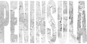 لوگوی رسمی فیلم Peninsula (2020)