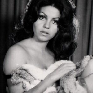 تصویر هنرمند Rebeca Silva