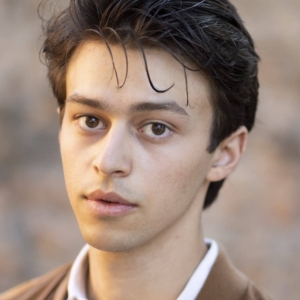 تصویر هنرمند Samuele Teneggi