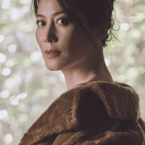 تصویر هنرمند Yu Feihong