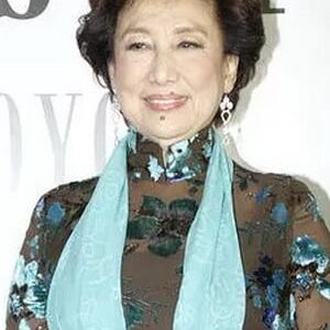 تصویر هنرمند Rebecca Pan