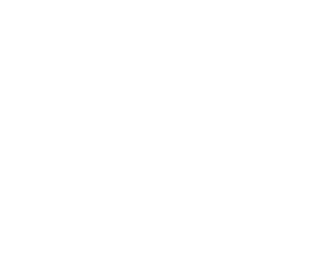 لوگوی رسمی فیلم Fired Up! (2009)