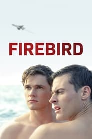 پوستر رسمی فیلم Firebird (2021)
