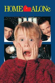 home alone 2: lost in new york 5