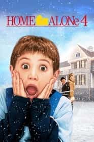 home alone 2: lost in new york 2