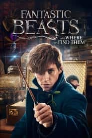 harry potter and the deathly hallows: part 1 11