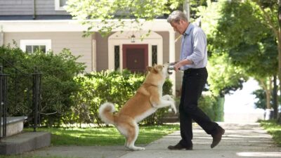 Teaser for Hachi: A Dog’s Tale