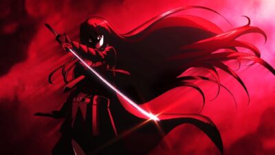 Teaser for Akame ga Kill!