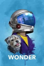 پوستر رسمی فیلم Wonder (2017)