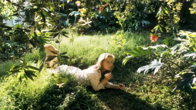 Teaser for Adaptation.