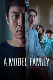 پوستر رسمی سریال A Model Family (2022)