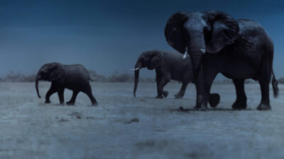 Teaser for Night on Earth