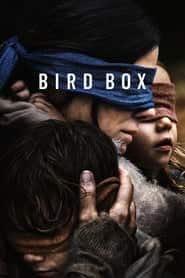 bird box barcelona 2