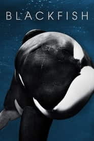 پوستر رسمی فیلم Blackfish (2013)