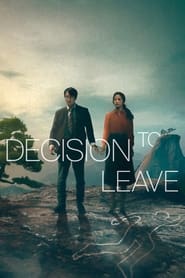 پوستر رسمی فیلم Decision to Leave (2022)