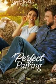 پوستر رسمی فیلم A Perfect Pairing (2022)