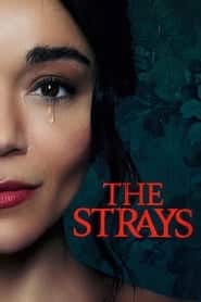 پوستر رسمی فیلم The Strays (2023)