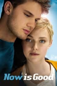پوستر رسمی فیلم Now Is Good (2012)