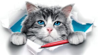 Teaser for Nine Lives