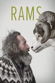 پوستر رسمی فیلم Rams (2015)