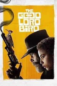 lonesome dove 49