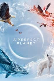 پوستر رسمی سریال A Perfect Planet (2021)