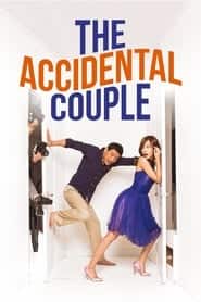 پوستر رسمی سریال The Accidental Couple (2009)