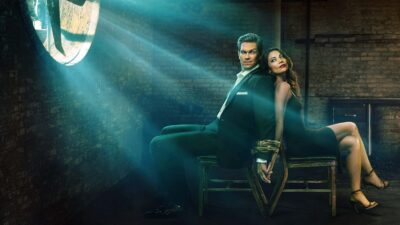 Teaser for True Lies