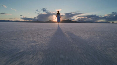 Teaser for The Tree of Life