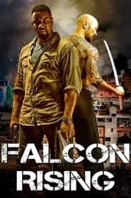پوستر رسمی فیلم Falcon Rising (2014)